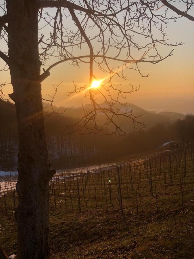 Gaestezimmer Klopfer Sankt Johann im Saggautal Bagian luar foto