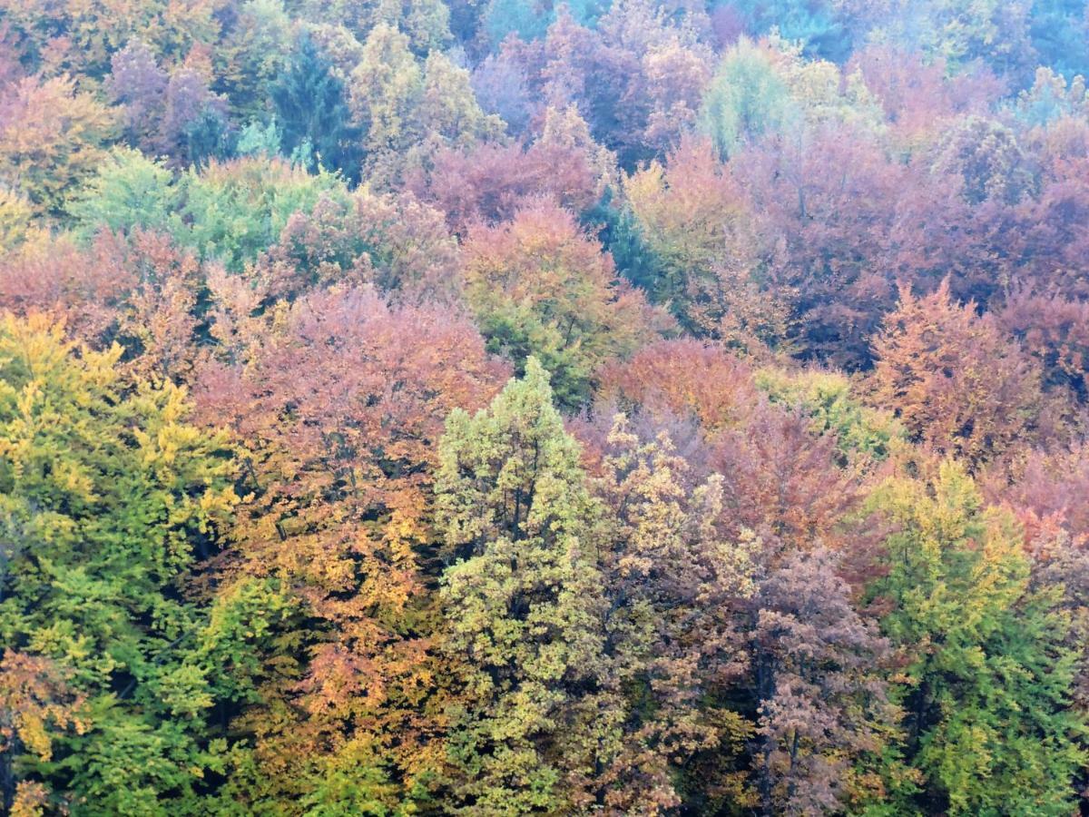 Gaestezimmer Klopfer Sankt Johann im Saggautal Bagian luar foto